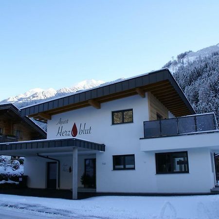 Appartement Apart Herzblut à Mayrhofen Extérieur photo